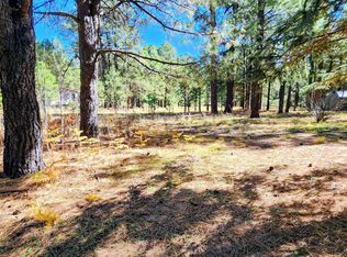 1958 FERRET Circle #260, Forest Lakes, AZ 85931