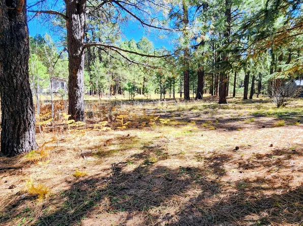 1958 FERRET Circle #260, Forest Lakes, AZ 85931