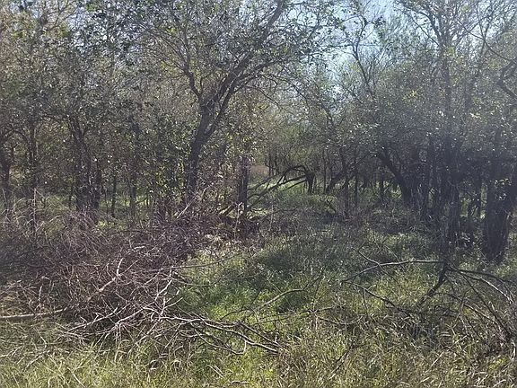 5th image of 147 Whitetail Ln