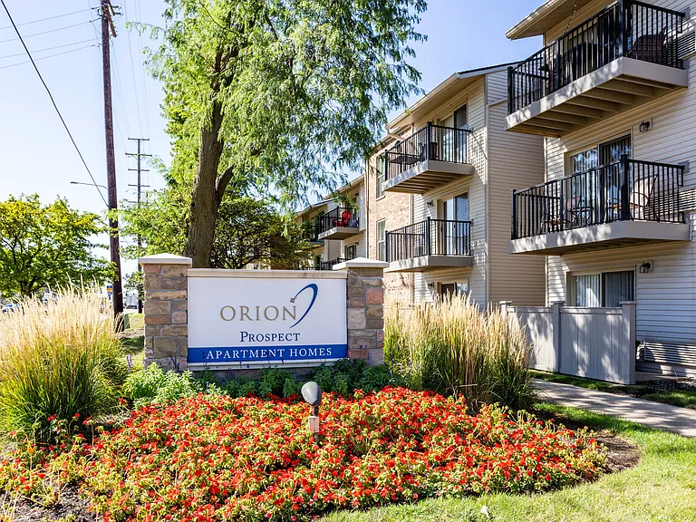 Welcome to Orion Prospect