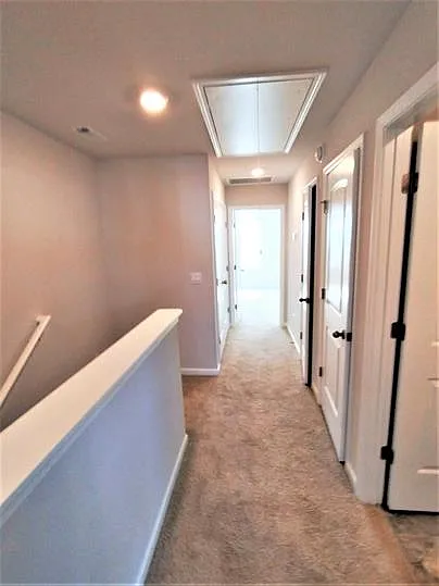 302 Carr Ln — Photo 7