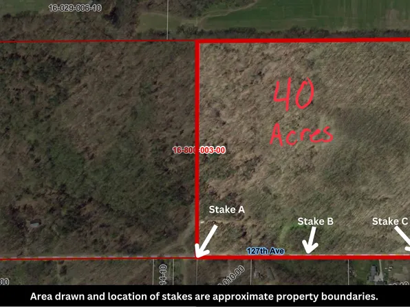 127 E Lane St, Allegan, MI 49010