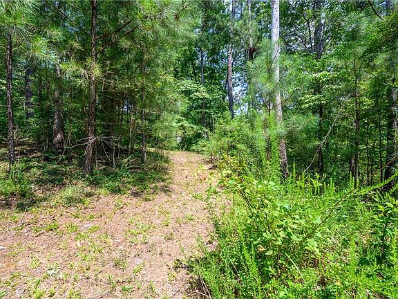 5th image of 38 Picketts Creek Ct