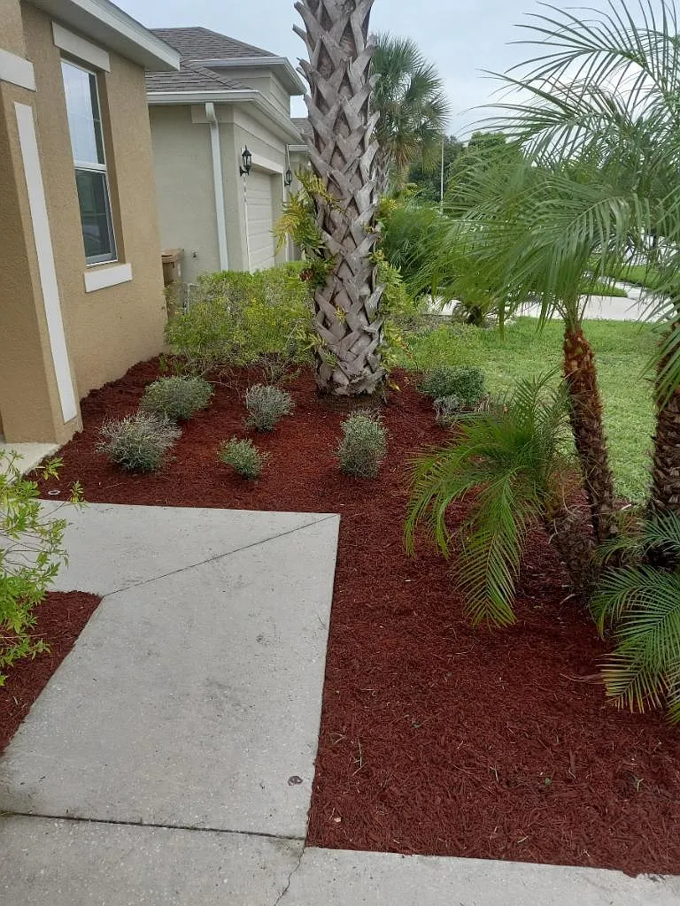 3008 Madelia Ln — Photo 3