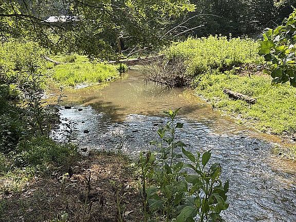 300-500 ft of creek 