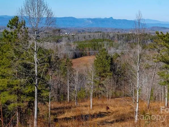 99999-226 State Hwy, Nebo, NC 28761