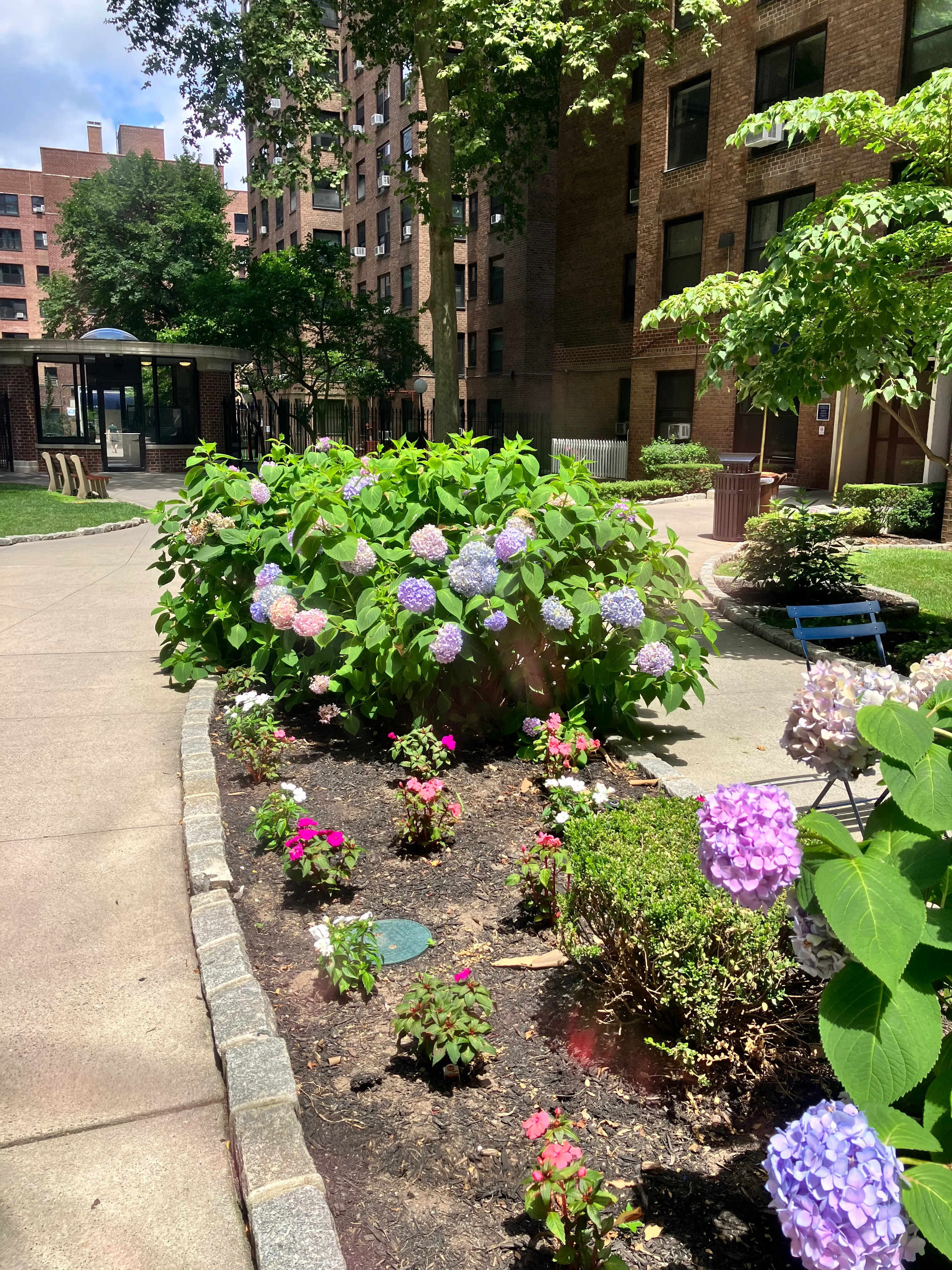 209 Clinton Avenue #1D in Clinton Hill, Brooklyn | StreetEasy