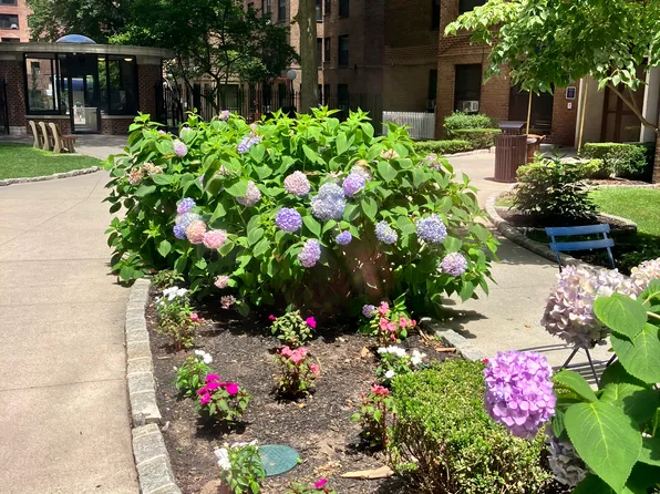 209 Clinton Avenue image 13 of 16