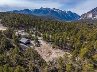 21160 Skyline Dr, Nathrop, CO 81236
