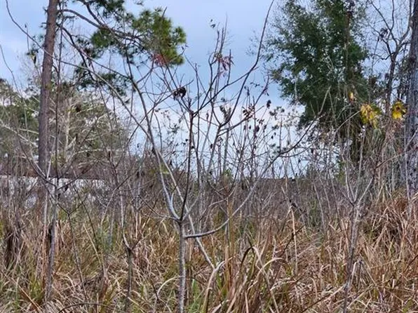 SE 104th Ter #9, Belleview, FL 34420