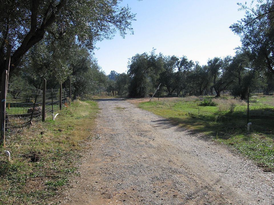 2nd image of Mission Olive