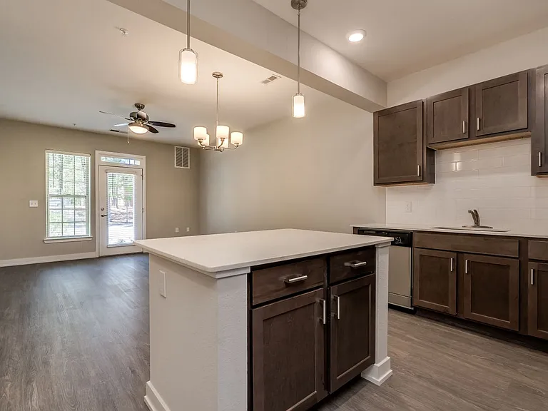 Kitchen & Living Room (Luxury Floor Plan)