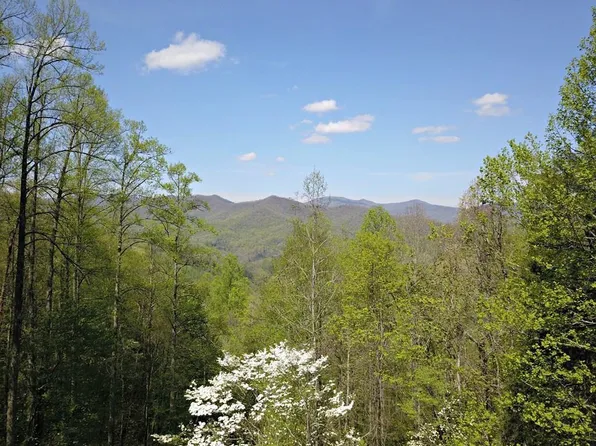 528 Early Deitz Rd, Sylva, NC 28779