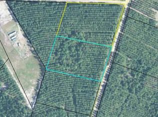 LOT 59 Vic Waters LOT 59, Crescent, GA 31304
