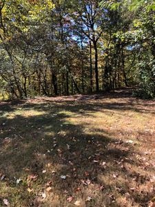 147 Griffin Keltch Ln, Evensville, TN, 37332
