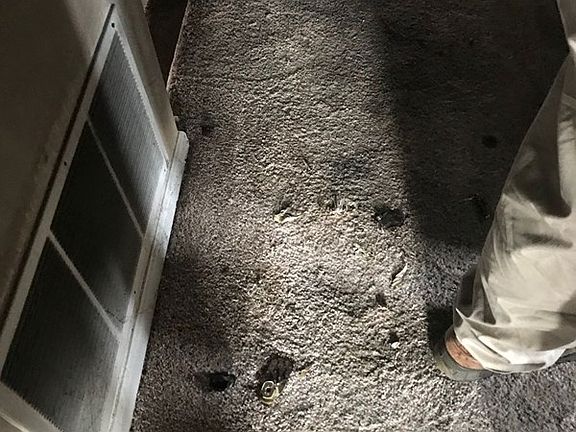 5th image of 138 Shannon Dr