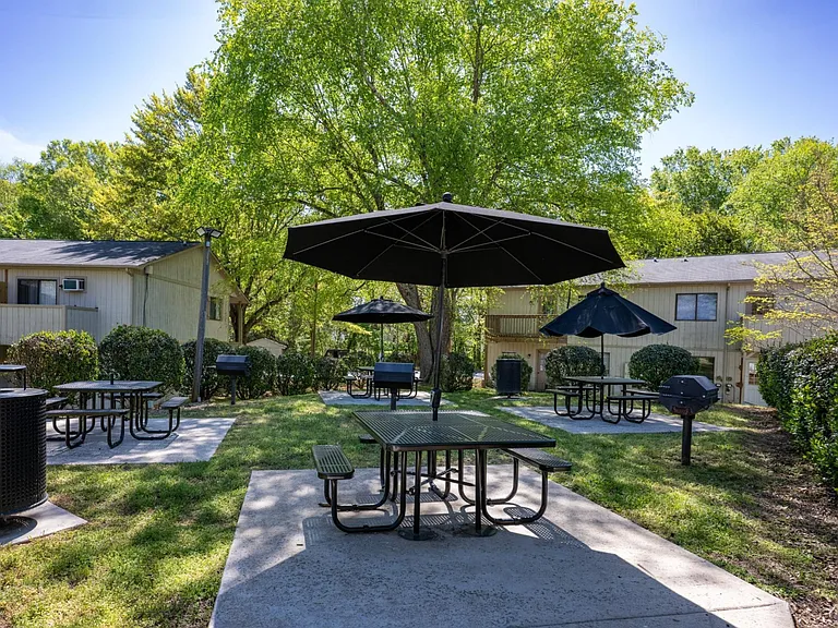Picnic Area