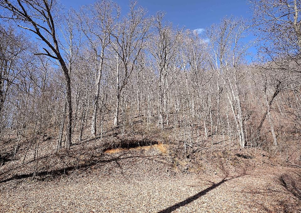 1st image of 0 Long Creek Ln