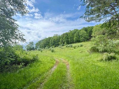 Fairview Hill Rd, Moatsville, WV, 26405