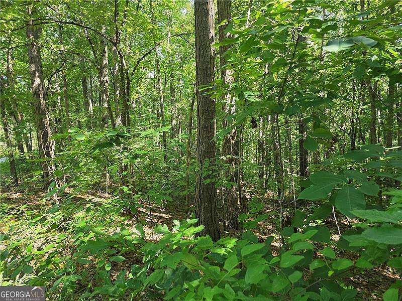 1st image of 0 Lawson Federal Rd