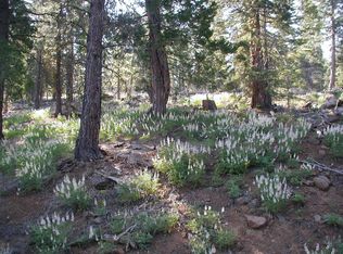 Grizzley Flats Rd, California Pines, CA 96101