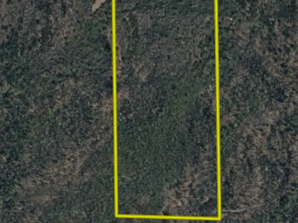 V/l 13 Mile Rd, Bitely, MI 49309