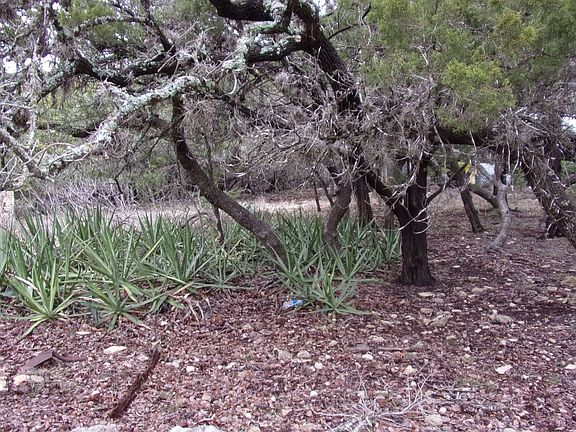 4th image of LOT 46 MOUNTAIN WOOD LOT 46