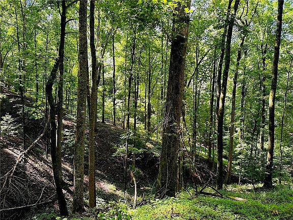 2nd image of Halls Mill Rd