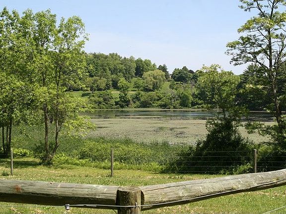 View of Pond
