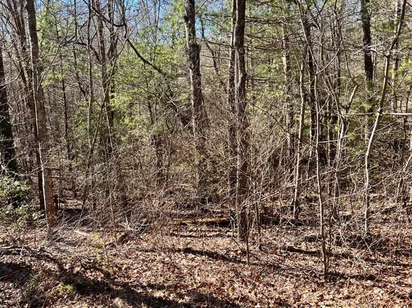 118 Natchez Cir, Fairfield Glade, TN 38558