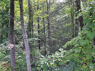 Old Cartertown Rd, Gatlinburg, TN --
