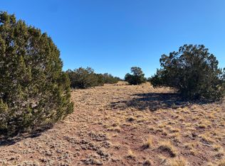 3674 S Canyon Vista Rd #10, Williams, AZ 86046