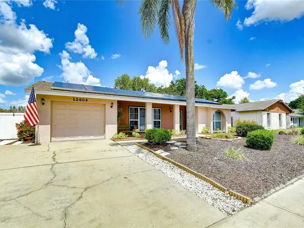 12604 Trucious Pl, Tampa, FL 33625
