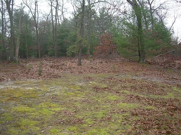 1 Acre Flat Usable Property