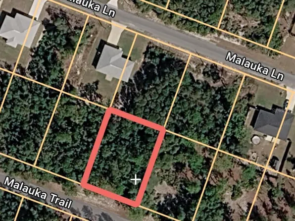 Malauka Trl Lot 5, Ocklawaha, FL 32179