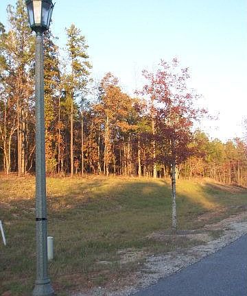 McCurry Hills Subdivision