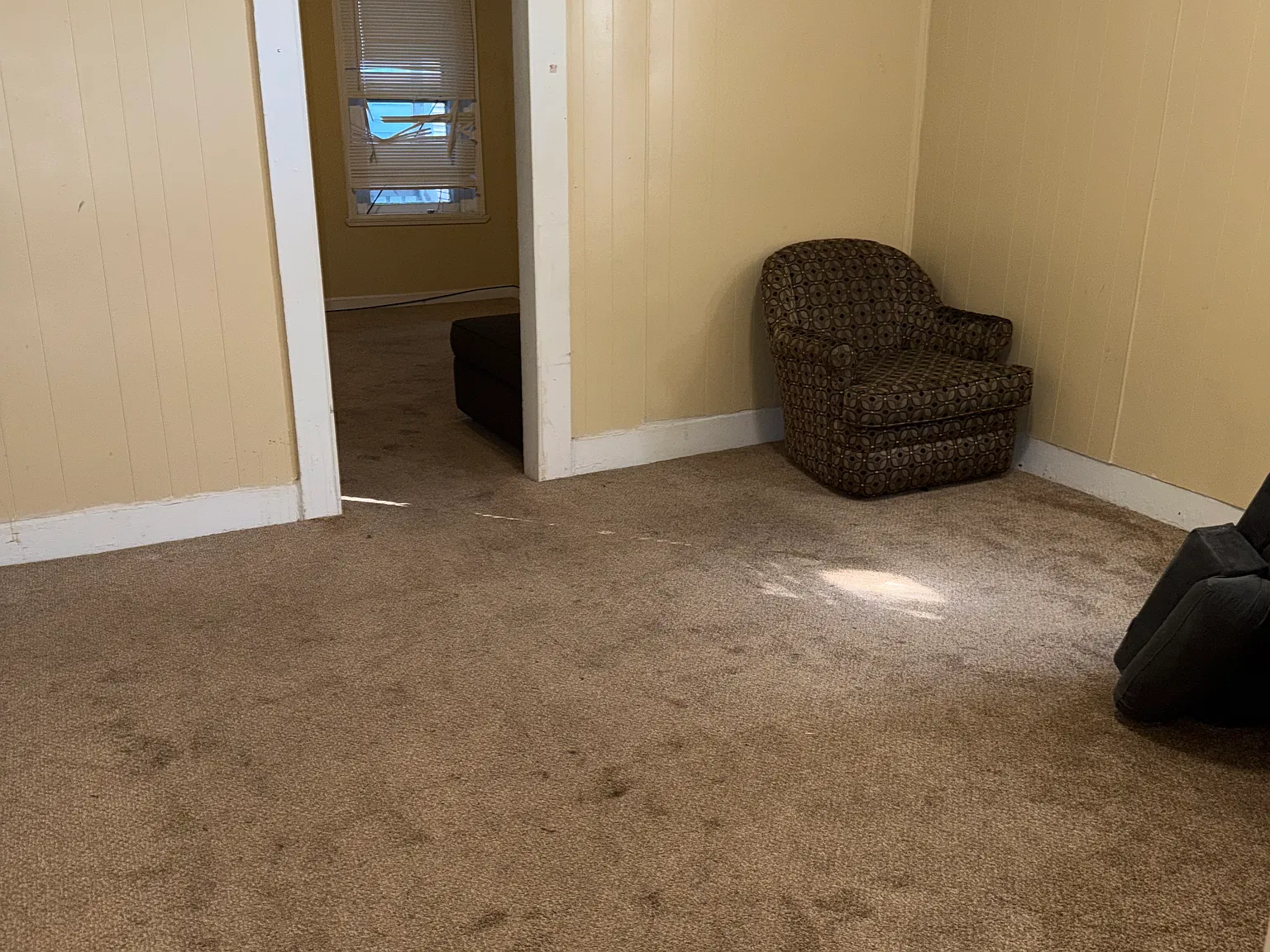 2 bed, 1000 sqft, $1,200 — Photo 3