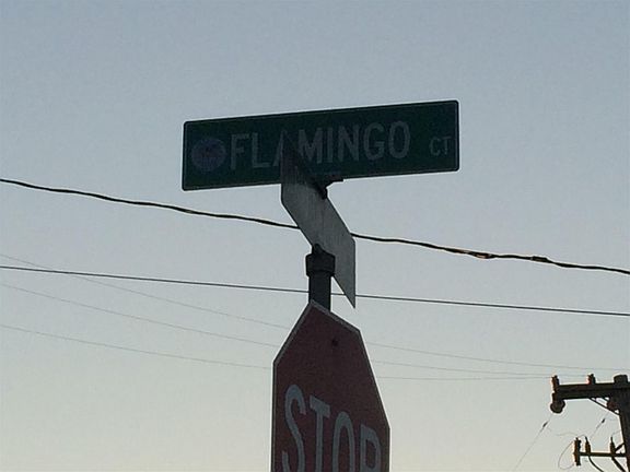 5th image of 47 Flamingo Ct