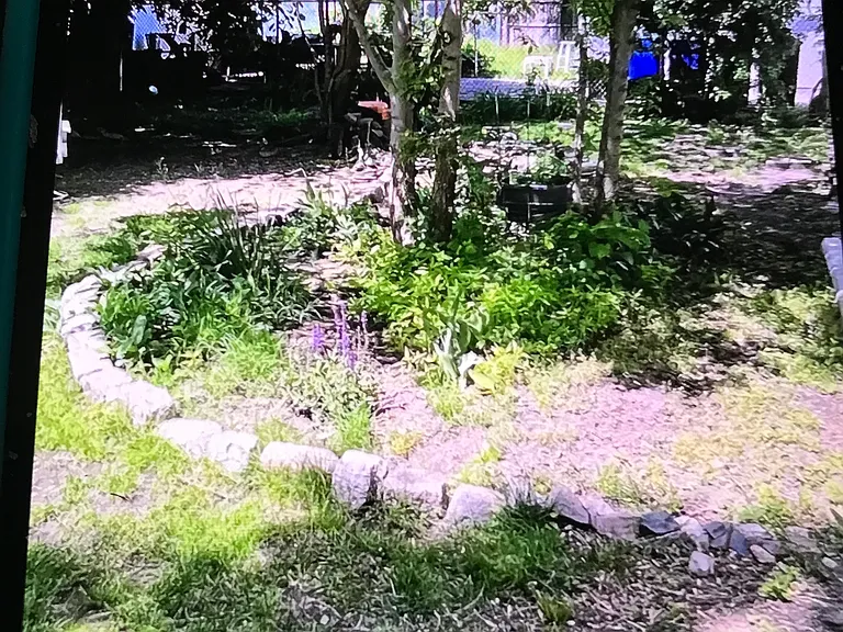 Yard