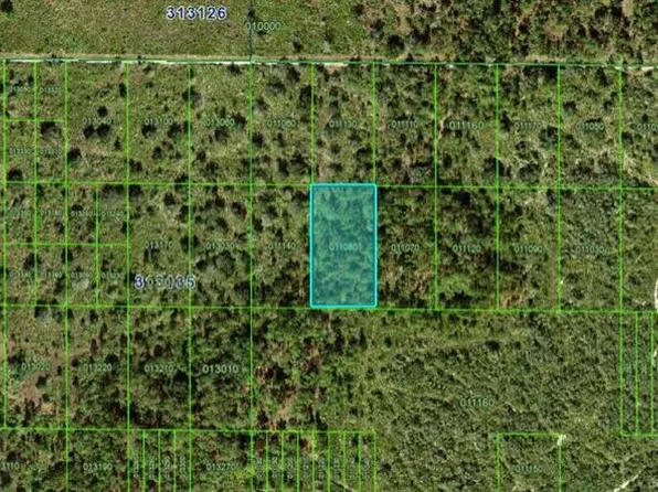 River Runch Rd, Frostproof, FL 33843