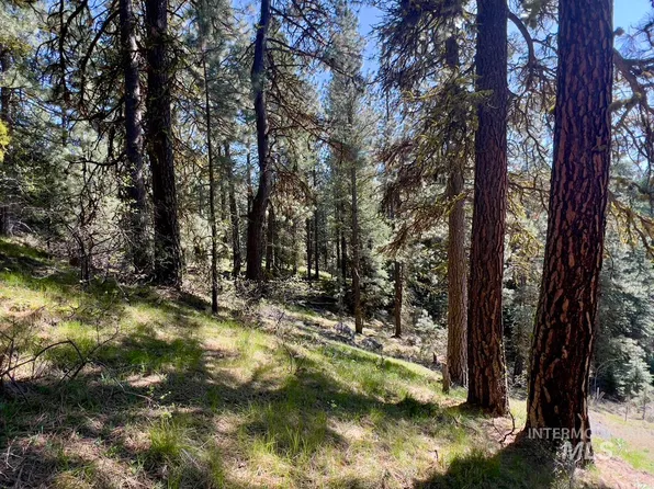 63 Ranch Cir, Cascade, ID 83611