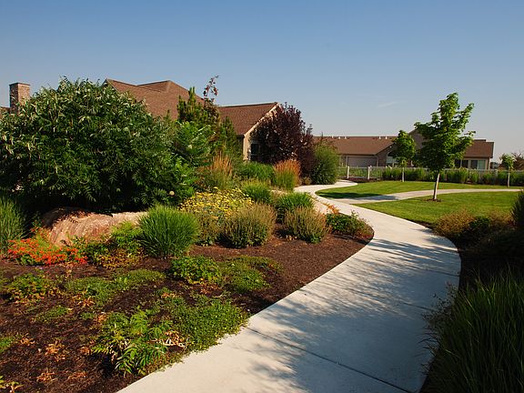 Beautiful Landscaping