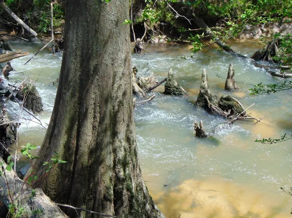 7075 Martinsville Rd, Wesson, MS 39191