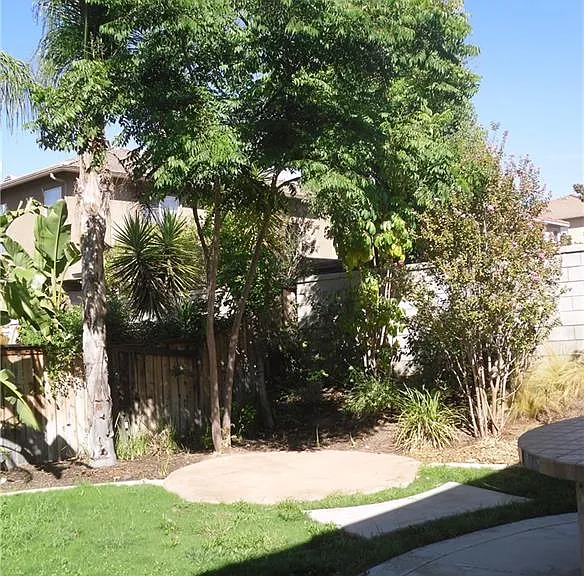 937 Feather Peak Dr — Photo 5