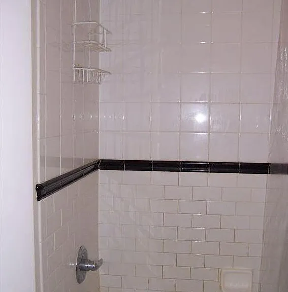 Combination shower and large tub