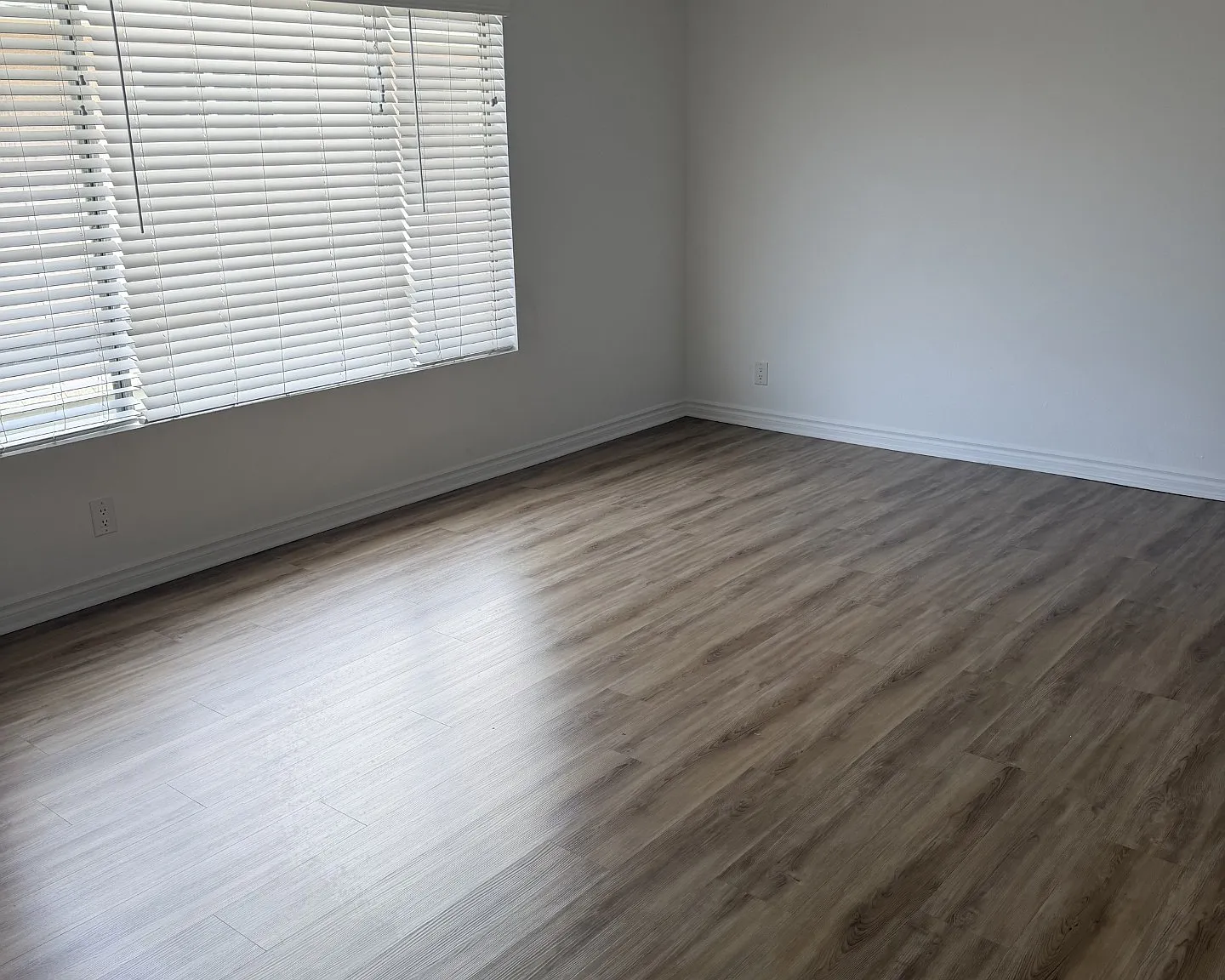 Pinetree Long Beach — Photo 3