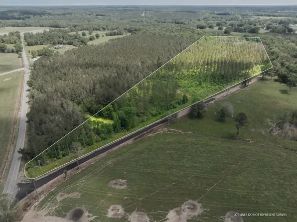 Lawrence Wiggington Rd, Mount Olive, MS 39119