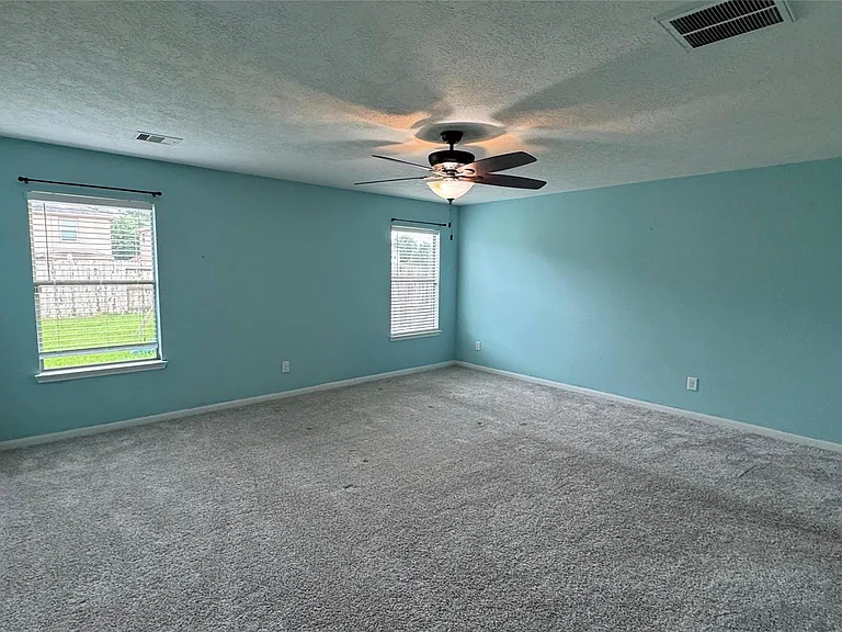 18703 Brown Redbud Ct — Photo 4