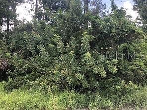 1st image of JEFFERSON AVENUE LOT 27