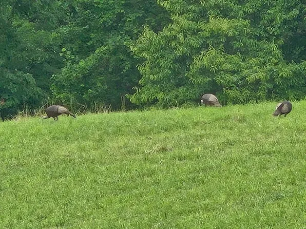 343-365 Rogers Ln, Nancy, KY 42544